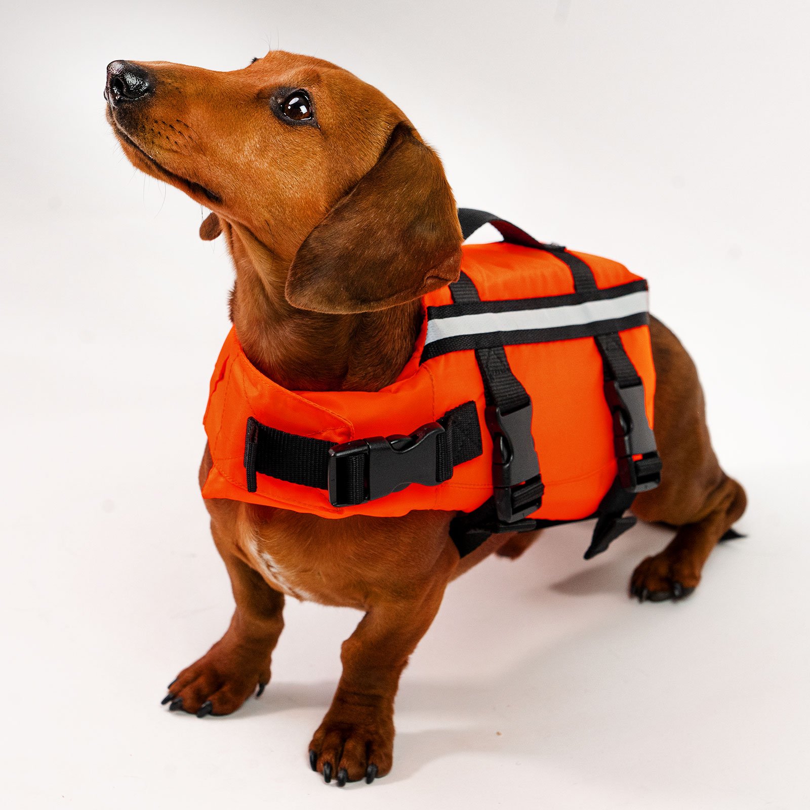 Typhoon Totland Dog Buoyancy Aid – Orange - Image 2